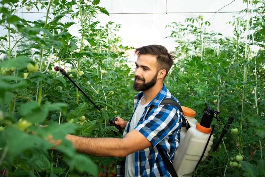 organic pesticides are they safe