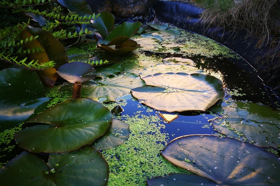 ponds and water features for patio garden ideas