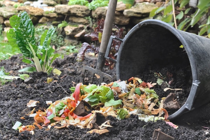 how to make your garden look nice with no money by making your own compost