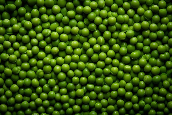 edible plants peas