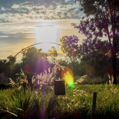 healing gardens