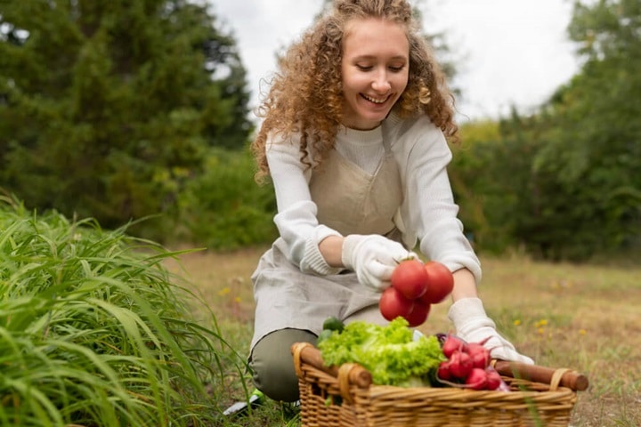 sustainable gardening growing your own