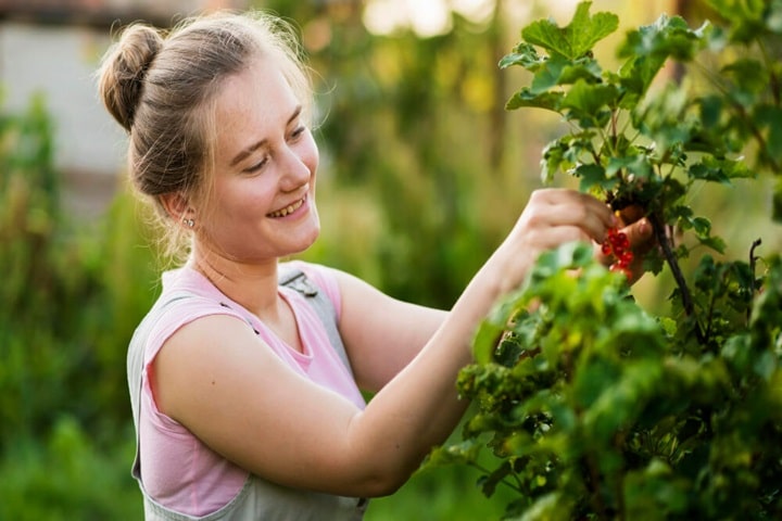 learning and growing yourself for sustainable gardening