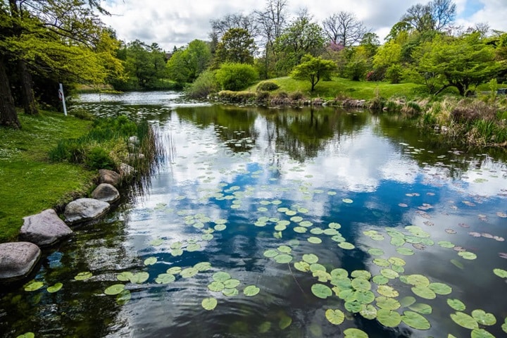 garden ponds for wildlife friendly garden ideas