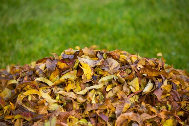 wildlife friendly garden with leaf piles