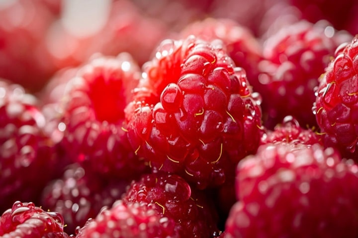 best raspberry varieties that fruit in autumn