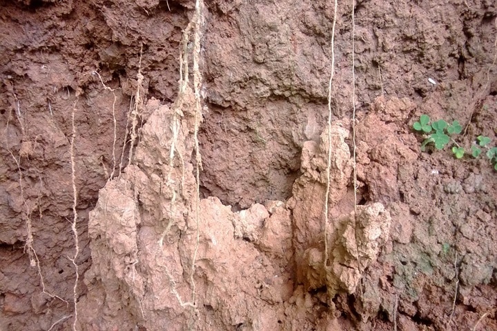 clay soil where can it be found