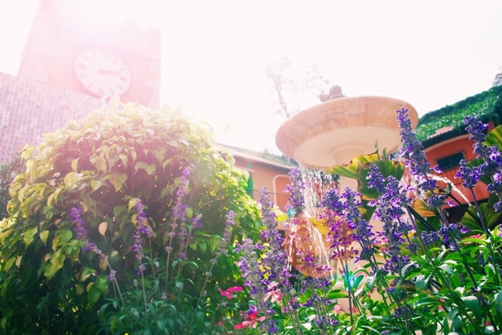engage all the senses with a cottage garden