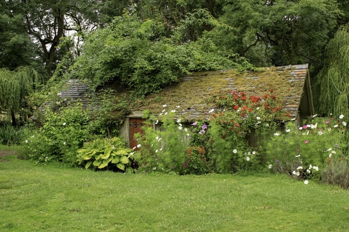 cottage garden foundations and shrubs