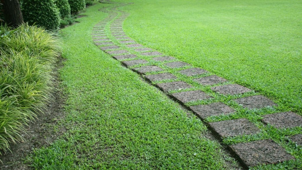lawn edging ideas