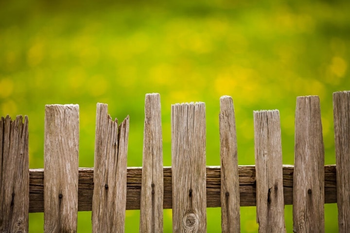 miniature fences for lawn edging ideas
