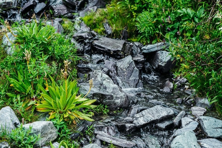planning rockery ideas