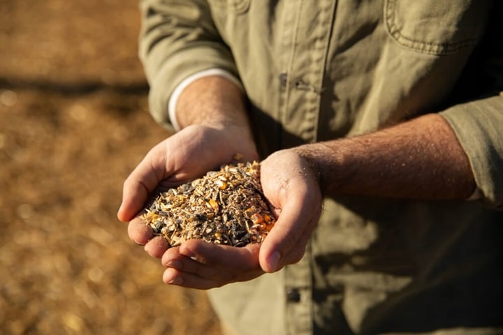 best place for seed sourcing