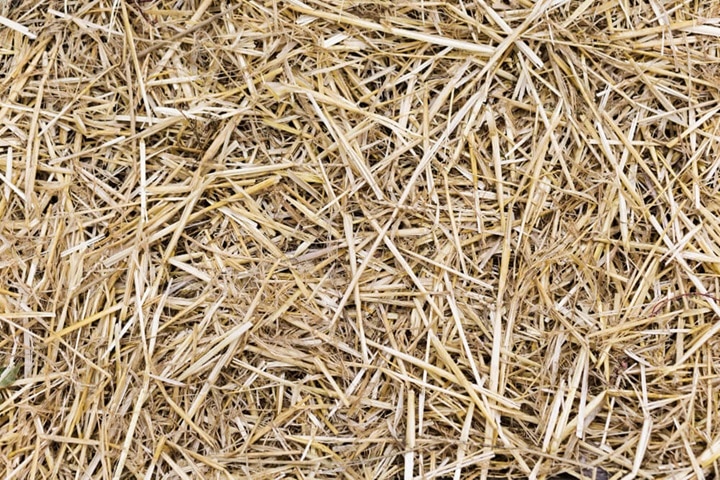what is straw used for