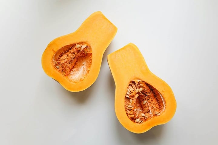 summer squash when to harvest squash