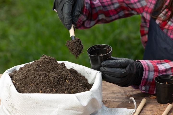 wildflower garden preparing soil