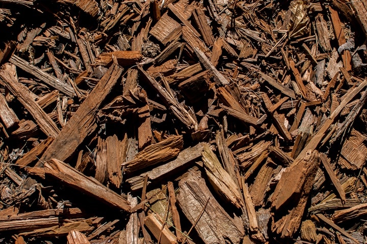 wood chip mulch in the garden