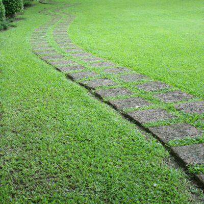 lawn edging ideas
