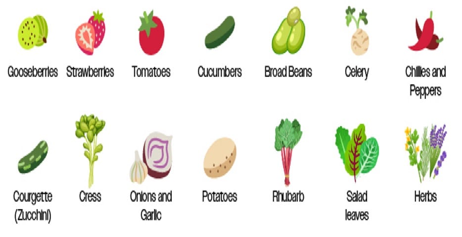 top 14 foods for growing at home
