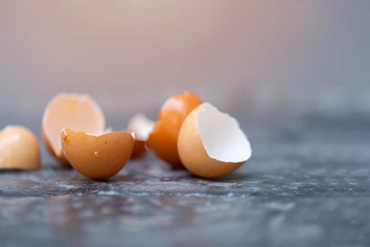 are eggshells for plants good