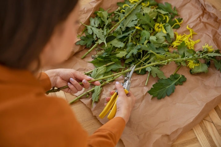 how to dry herbs by air drying