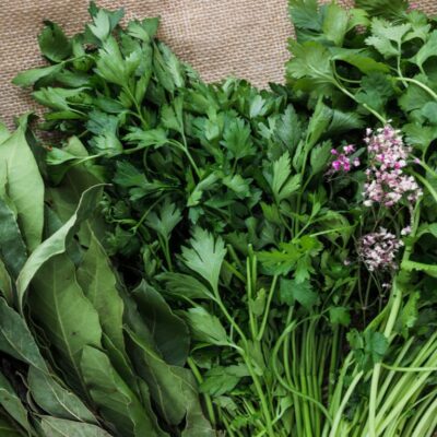 how to dry herbs