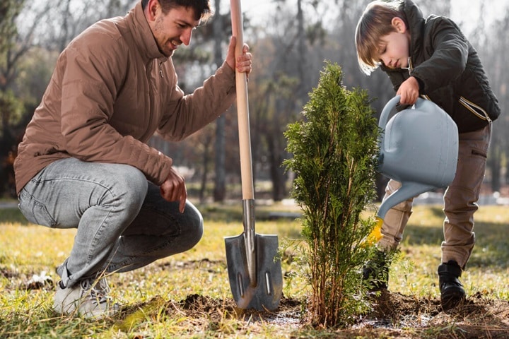 planting bare root trees watering