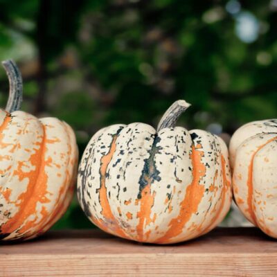 pumpkin recipe ideas