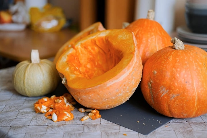 pumpkin recipes