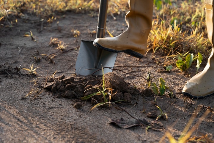 waterlogged garden how to deal with compacted soil