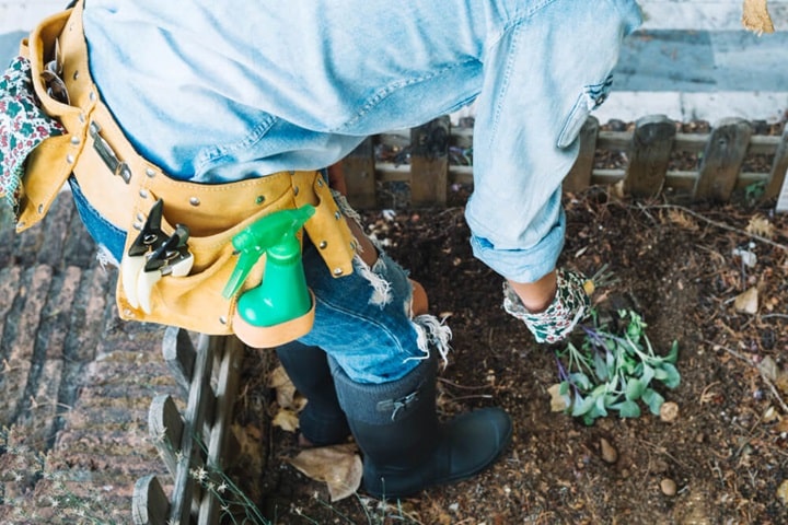 step by step process of trench composting