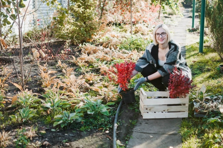 edible landscaping for garden trends