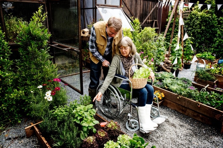 community and connectivity with garden trends