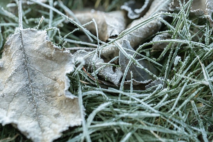 when to assess microclimates