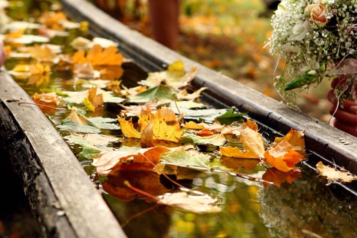 rain gardens decide if ground is suitable
