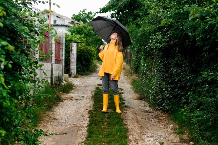 what are rain gardens