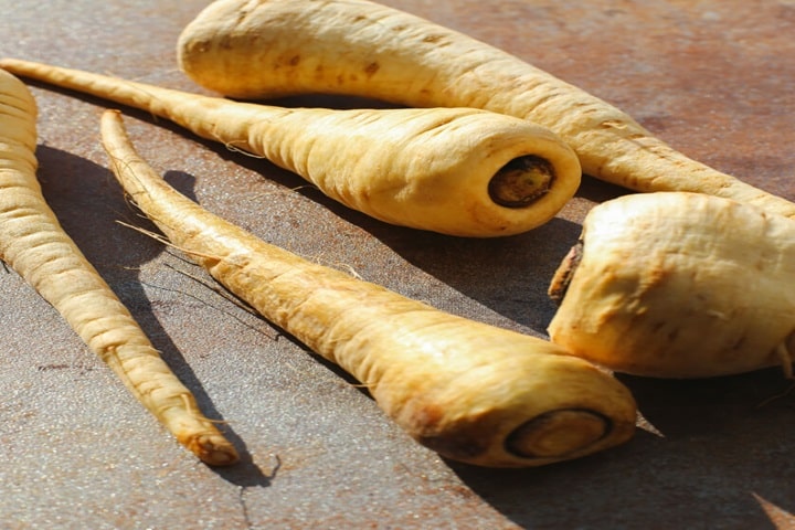 winter vegetables parsnips