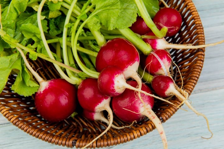 winter vegetables radish