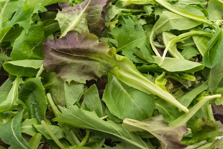 winter vegetables salads