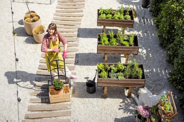 difference between a vegetable and a kitchen garden design