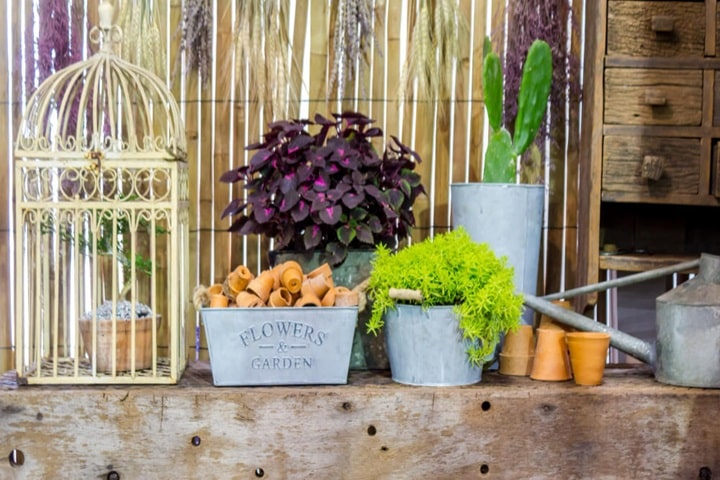 growing kitchen garden ideas in raised beds or containers