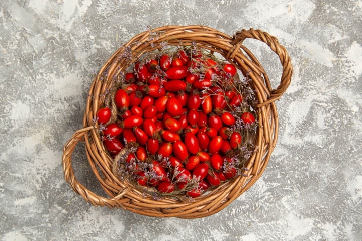 edible uses for rose hips
