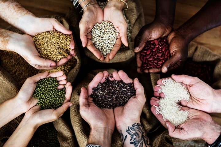sowing seeds indoors