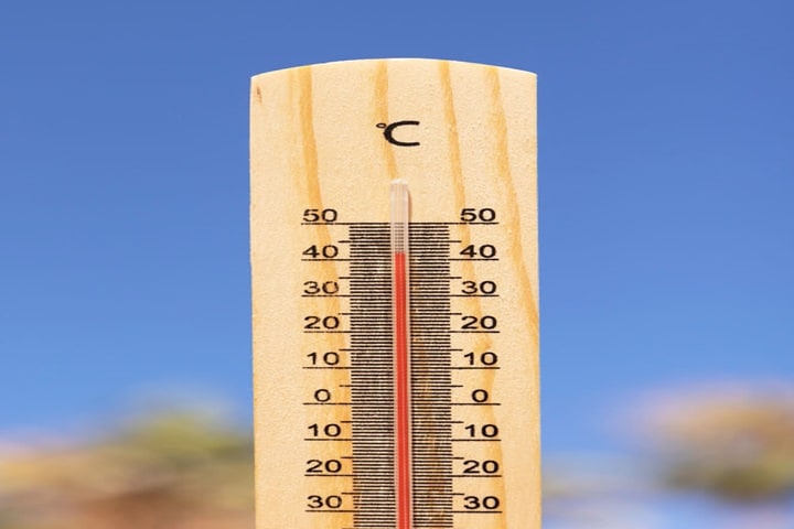 when to sow seeds temperature