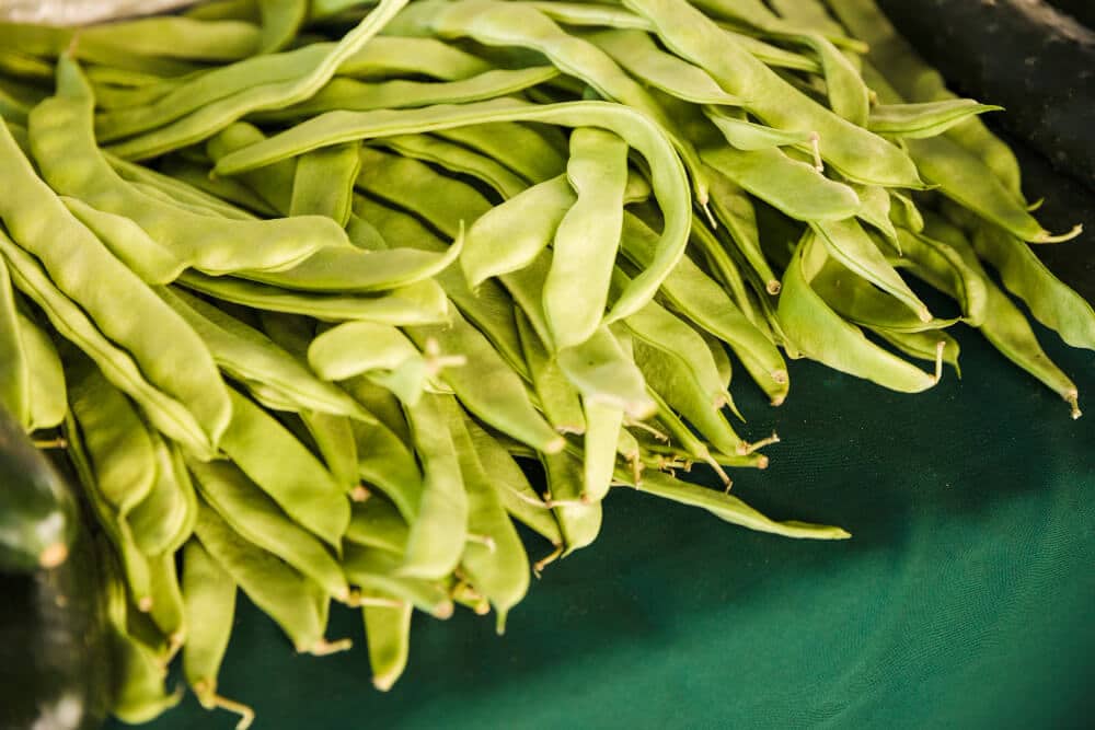 nitrogen fixing plants runner beans