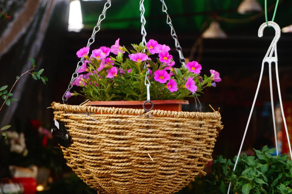 how to plant hanging baskets