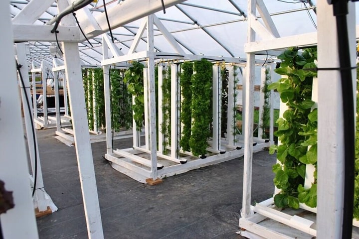 hydroponic tower farm steps to build