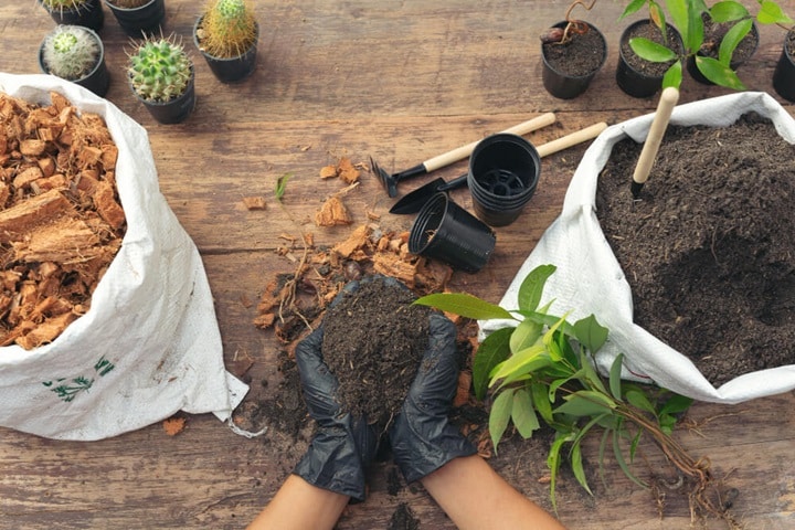 how to make potting mix recipe method