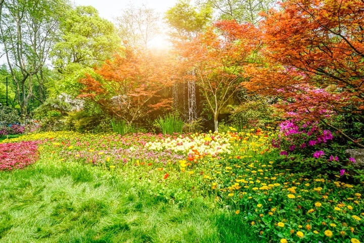 how to start chaos gardening