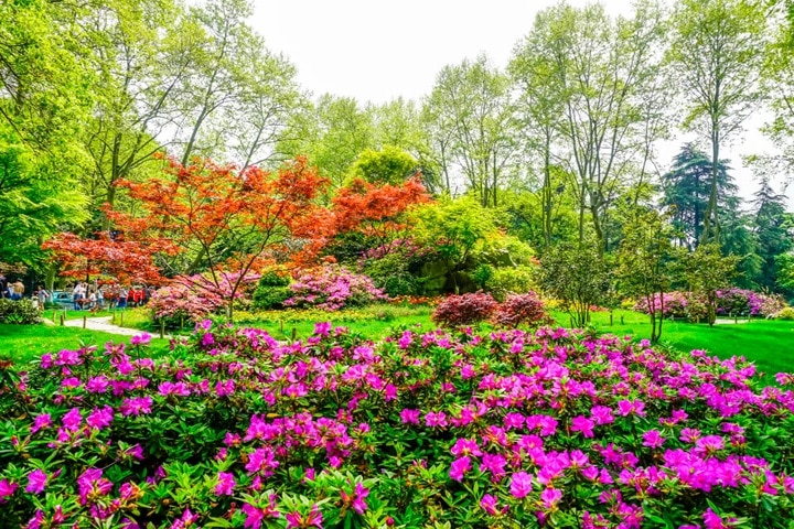 pros and cons of chaos gardening
